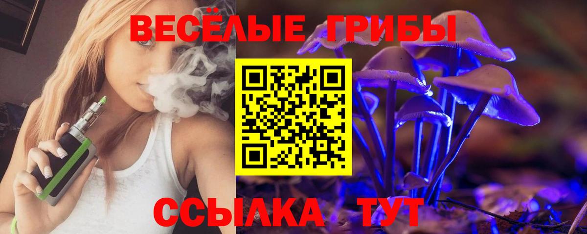 Псилоцибиновые грибы мицелий  Вход с VPN  Волжск 